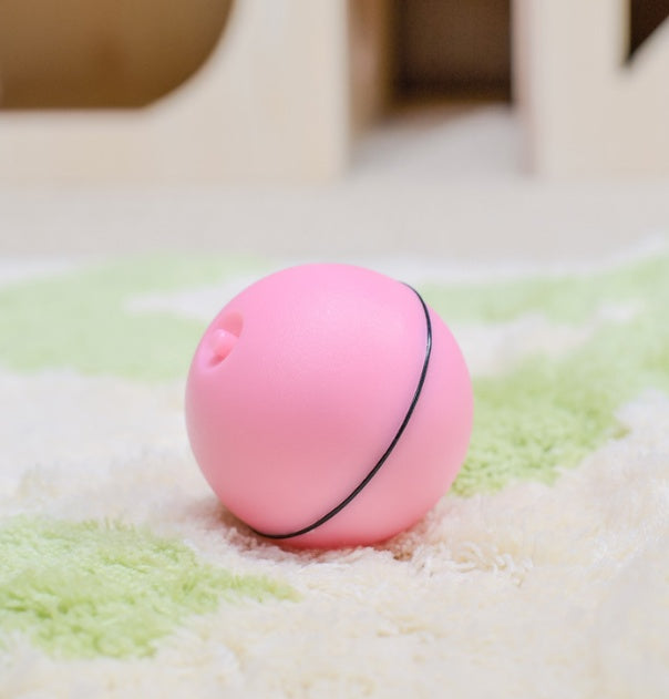 Interactive LED Laser Rolling Cat Toy