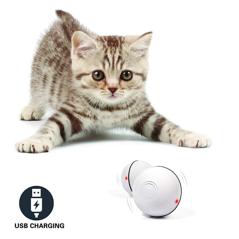Interactive LED Laser Rolling Cat Toy