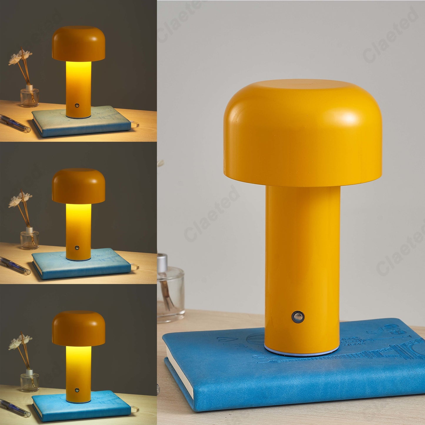 Mushroom Touch Table Lamp USB