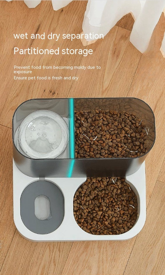 Visual Pet Automatic Feeder