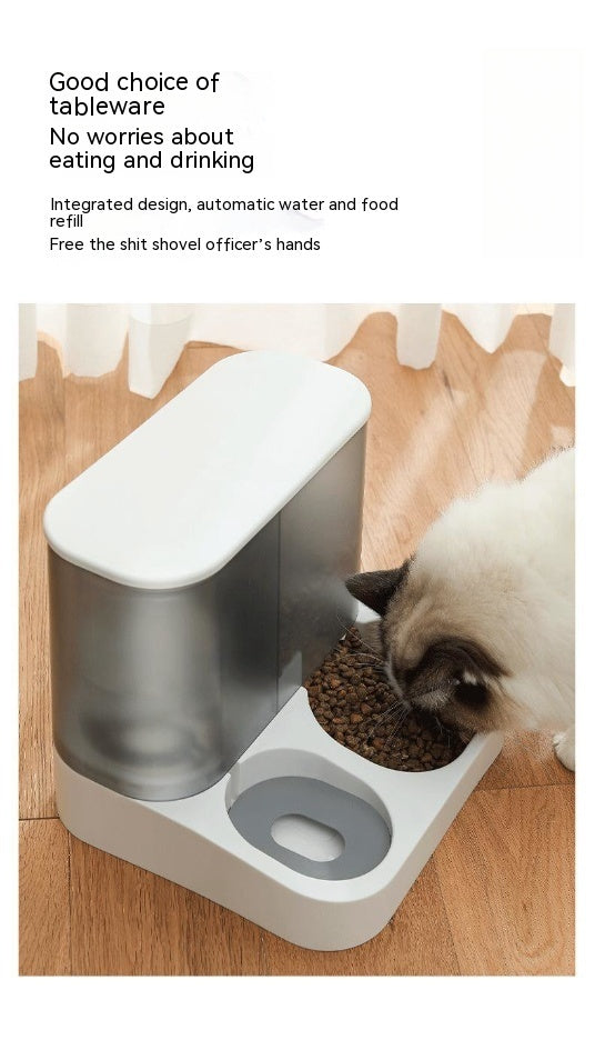 Visual Pet Automatic Feeder