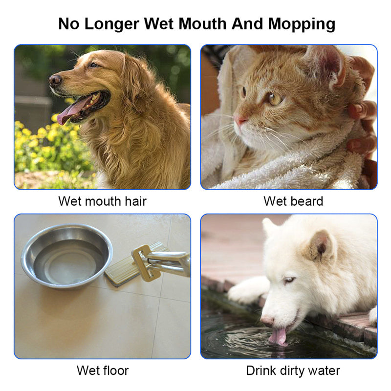 1.5L No Spill Pet Water Bowl