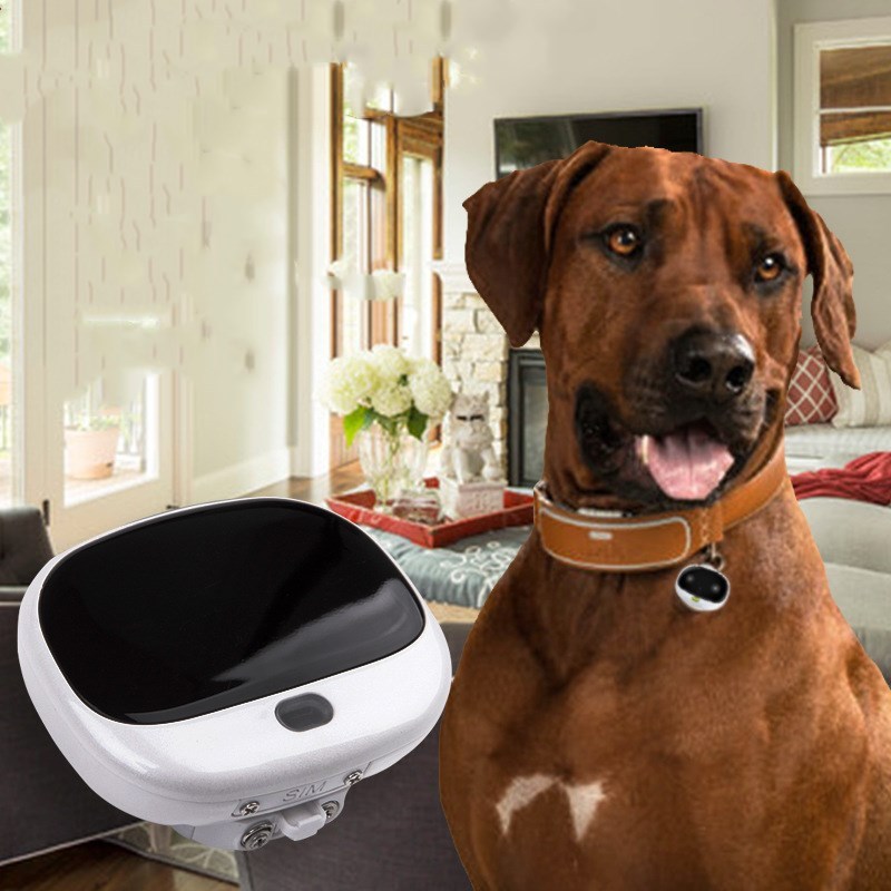 Mini Smart Pet Tracker Collar – Waterproof with LED Light