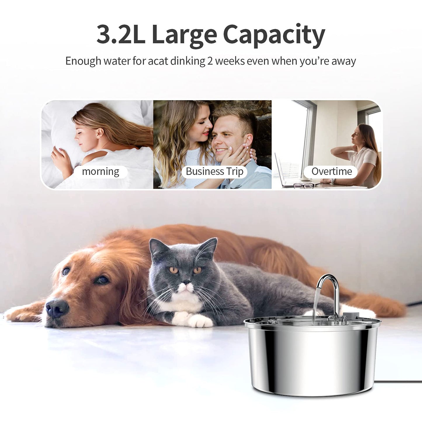 Automatic Stainless Steel Pet Water Fountain