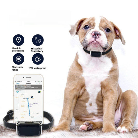 G12 Smart Pet GPS Tracker – Anti-Lost Locator for Cats & Dogs